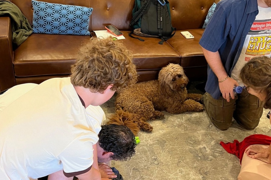 At Home CPR & AED Training in Lakeview, Chicago